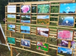 День поселка Ермишь
