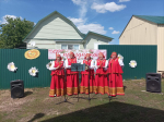 Праздник малой деревни Степановка